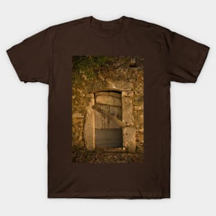 Door in Dobrinj, Krk, Croatia T-Shirt